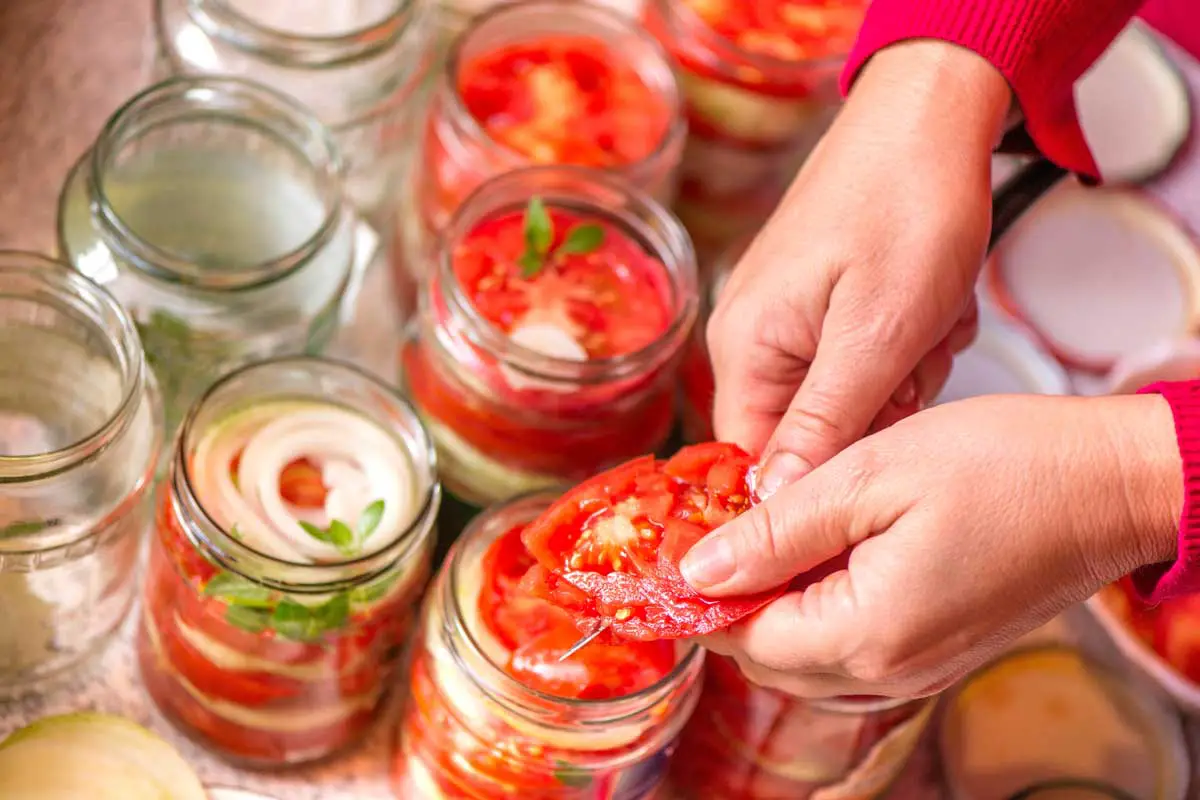 Un primer plano de manos desde la derecha del marco cortando tomates y colocándolos en frascos para encurtirlos.