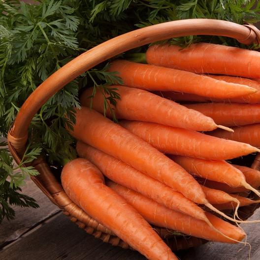 Un primer plano de una canasta que contiene la variedad de zanahoria 'Danvers 126' con las raíces naranjas limpias y el follaje aún adherido.