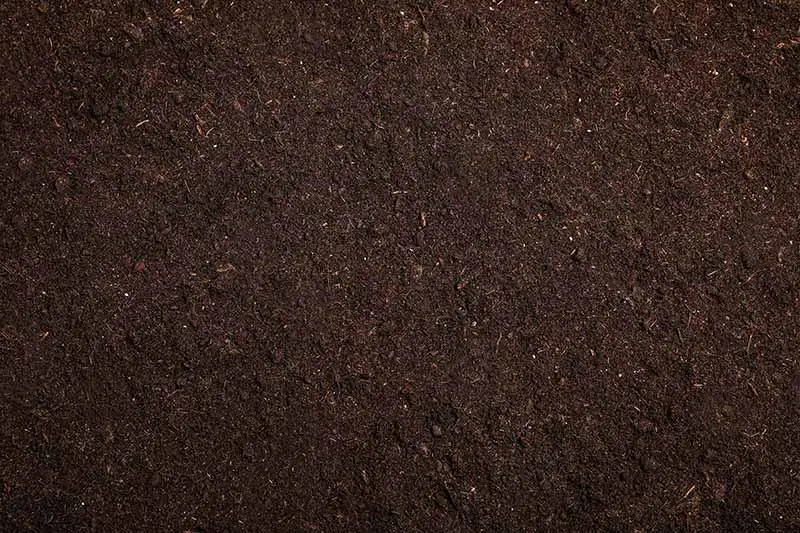 Una imagen de primer plano de suelo oscuro, rico y orgánico.