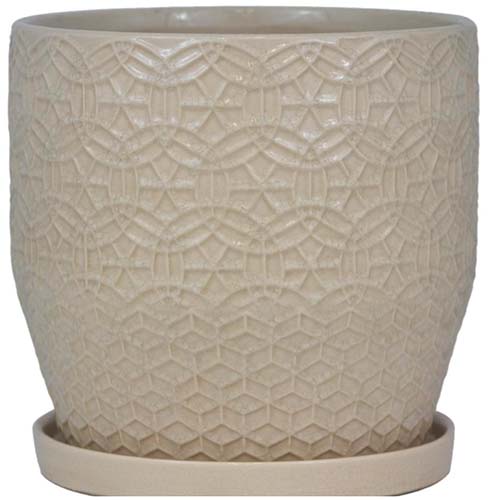 Una imagen cuadrada de primer plano de una vasija de cerámica decorativa con un platillo en un fondo blanco.
