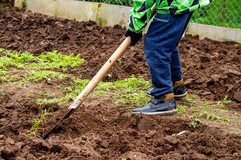 Una persona vestida con pantalones azules y un abrigo verde y azul, sosteniendo una pala y cavando el jardín.  El fondo es de tierra recién excavada y algunas malas hierbas sueltas.
