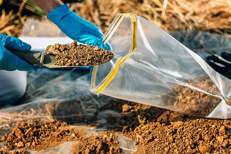 Una imagen horizontal de primer plano de un jardinero sacando tierra del jardín y colocándola en una bolsa de plástico para probarla.