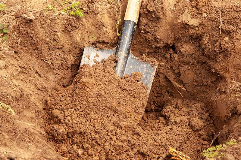 Una imagen horizontal de cerca de una pala que se usa para cavar un gran agujero en el jardín.