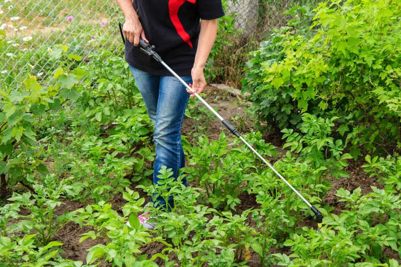 Una imagen horizontal de primer plano de un jardinero usando un rociador de mochila en el huerto.