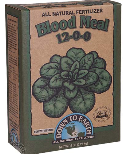 Una imagen vertical de primer plano del envase de Down to Earth Blood Meal sobre un fondo blanco.