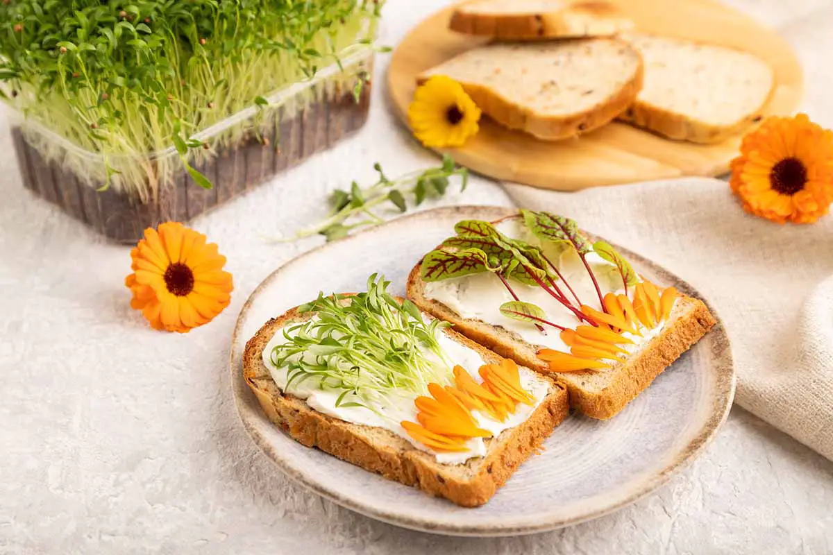 Una imagen horizontal de primer plano de un sándwich abierto en un plato con flores de caléndula y microvegetales.