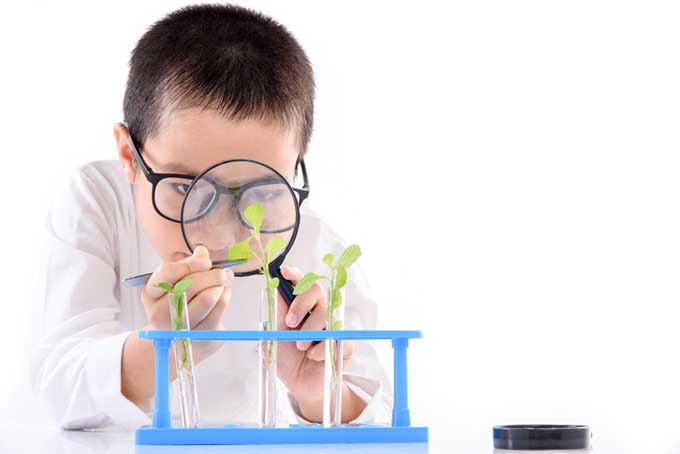 Un primer plano de un niño sosteniendo una lupa, examinando una planta que crece en un tubo de ensayo, sobre un fondo blanco.