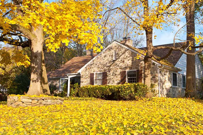 Una imagen horizontal de una casa en otoño, con hojas amarillas por todo el césped, representada bajo un sol radiante.