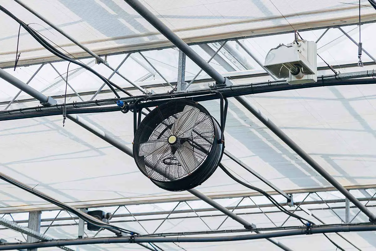 Imagen horizontal de un ventilador montado en el techo de un invernadero comercial para proporcionar ventilación.