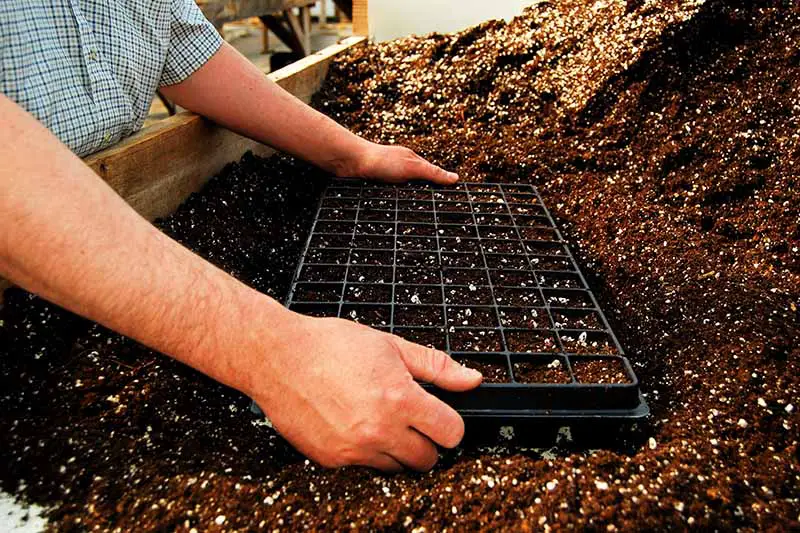 Una imagen horizontal de primer plano de un jardinero llenando una bandeja inicial de semillas con mezcla para macetas.