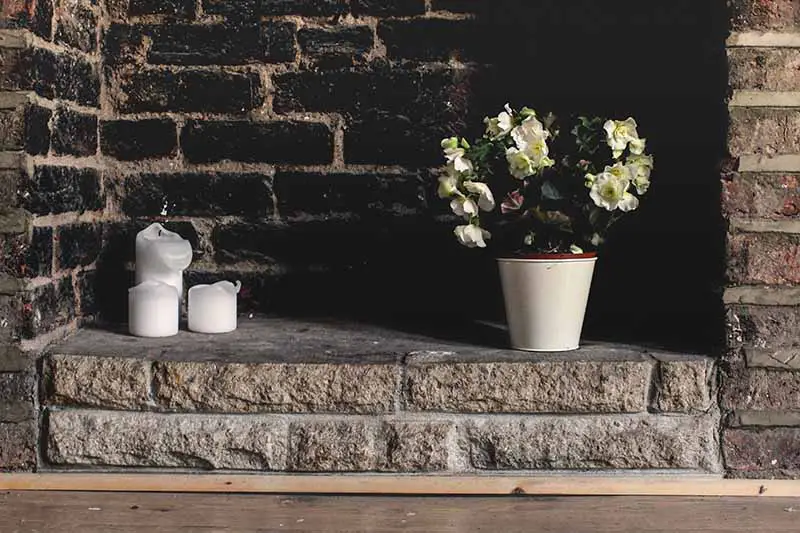 Una imagen horizontal de cerca de una chimenea de ladrillo decorada con velas y un arbusto de gardenia en maceta.