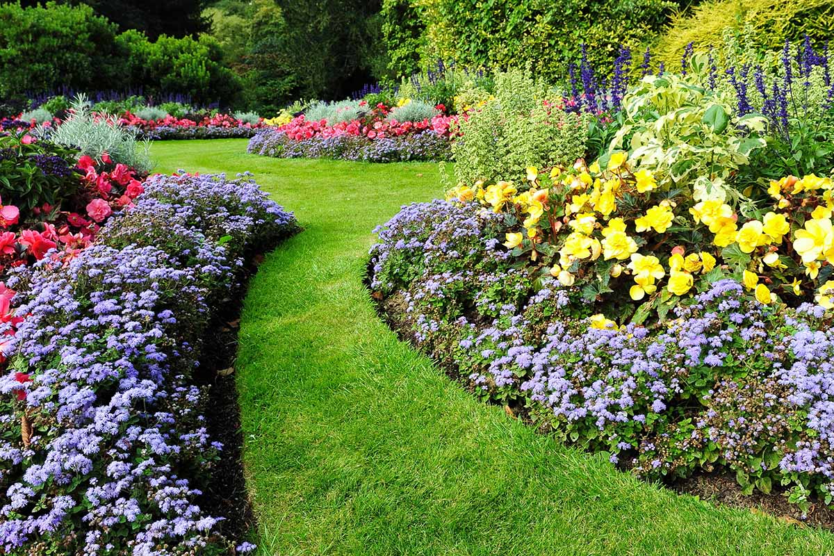 Una imagen horizontal de coloridos bordes de jardín llenos de flores plantadas en masa.