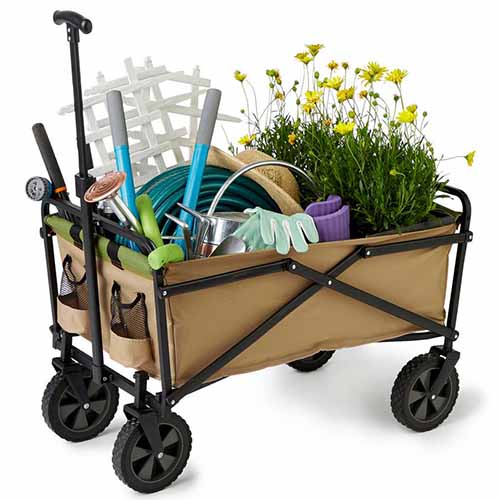 Una imagen horizontal de primer plano de un carro de jardinería plegable lleno de herramientas y plantas sobre un fondo blanco.