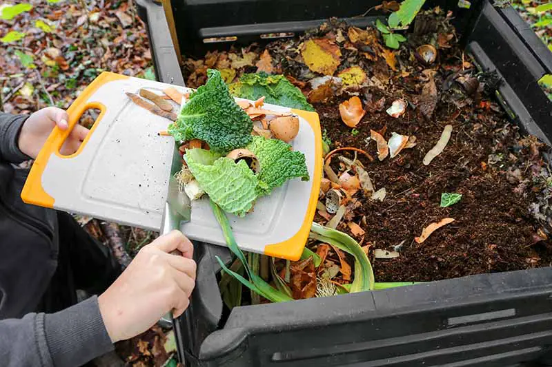 Una imagen horizontal de primer plano de un jardinero colocando restos de cocina en un contenedor de compost de plástico.