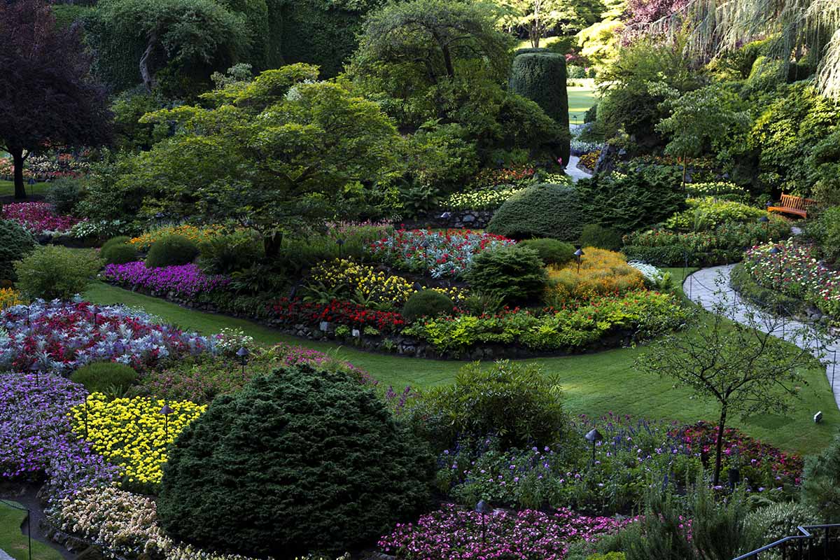 Una imagen horizontal de un jardín formal con flores plantadas en masa y caminos a través de él.