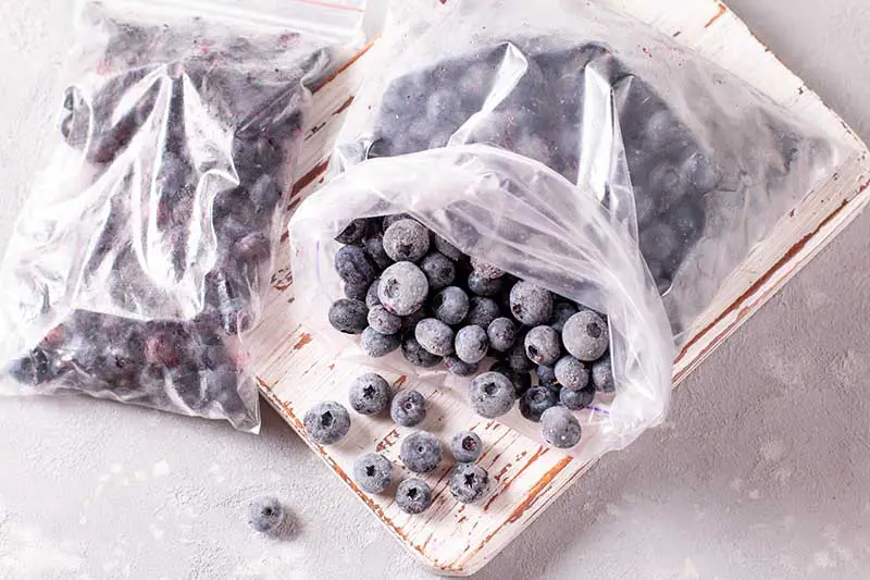Una imagen horizontal de primer plano de dos bolsas de plástico llenas de frutas congeladas sobre una superficie de madera.