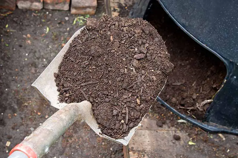 Un primer plano de una pala, sacando abono de un contenedor de abono de plástico negro.  En el fondo está el suelo.