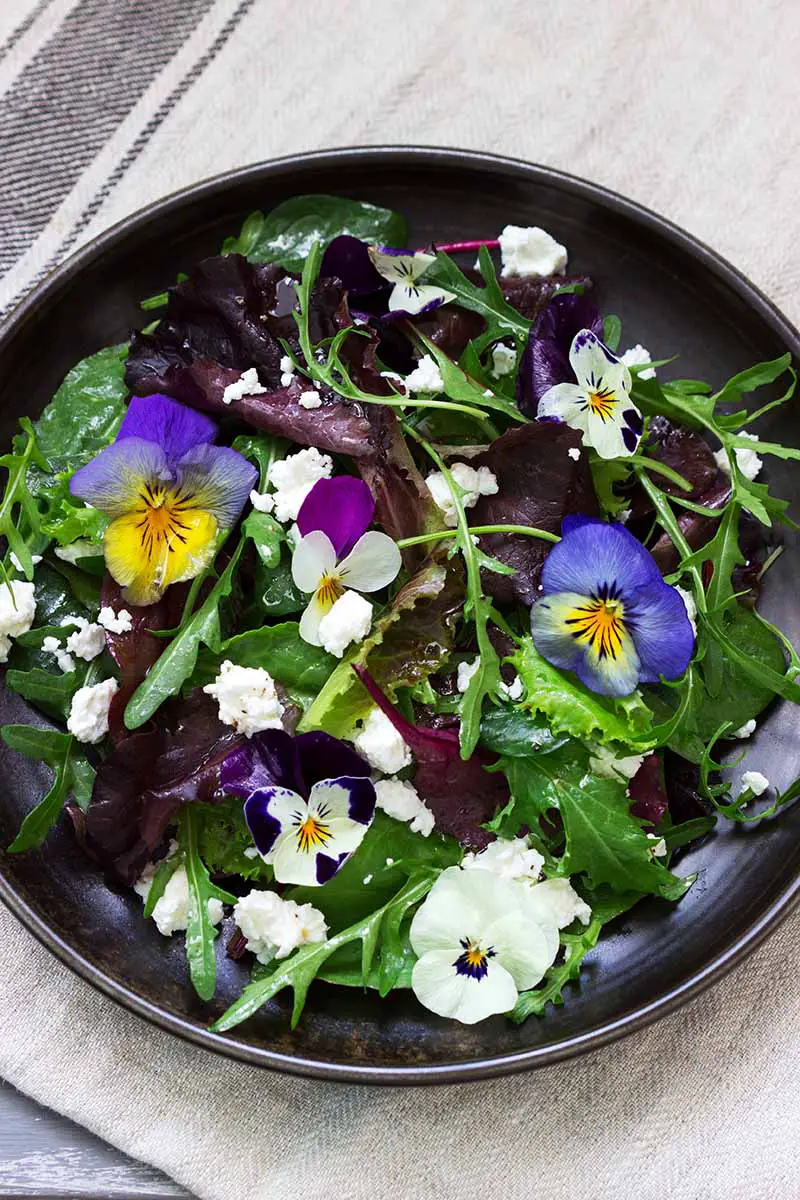 Una imagen vertical de primer plano de un plato oscuro de ensalada decorado con flores comestibles.