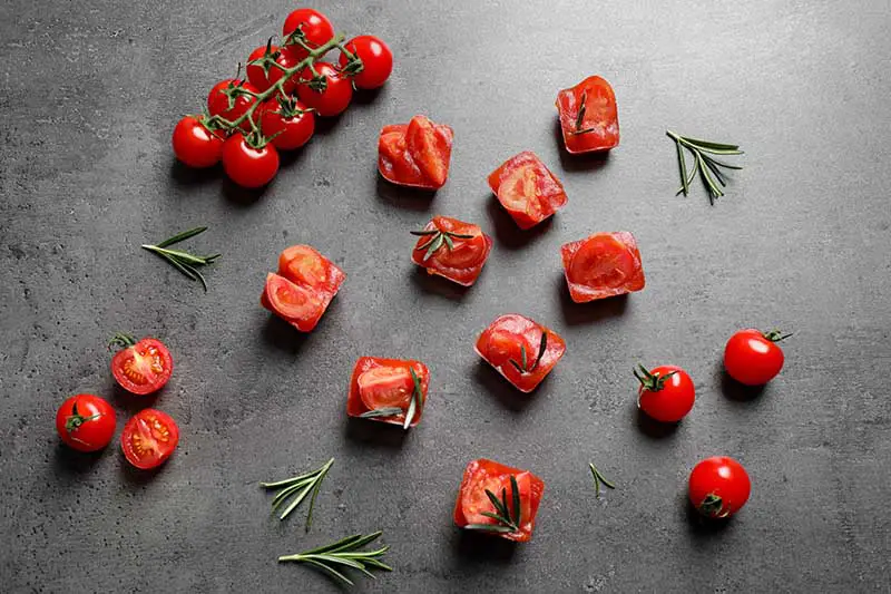 Una imagen horizontal de tomates frescos esparcidos sobre una superficie gris con ramitas de romero.