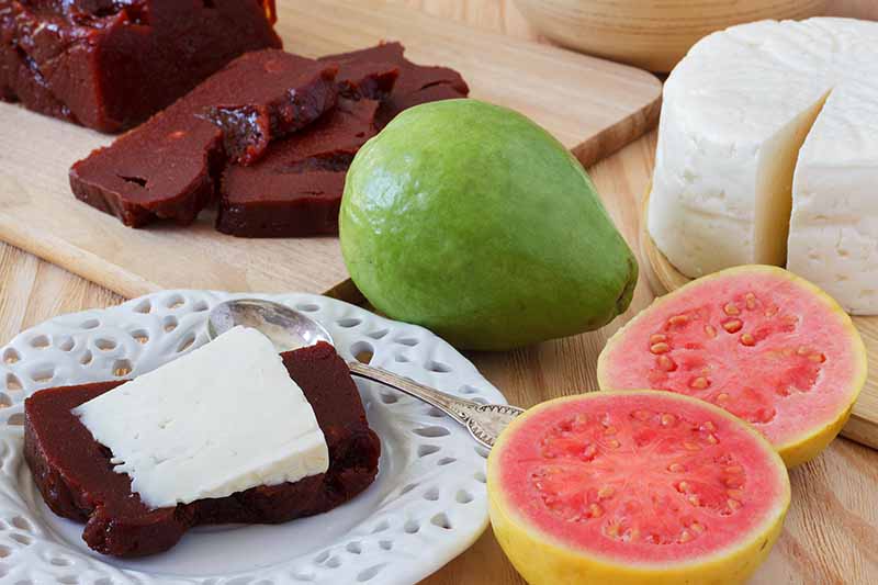 Una imagen horizontal de una guayaba fresca entera y en rodajas con gelatina de fruta y queso.