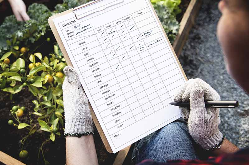 Una imagen horizontal de primer plano de un jardinero que usa una lista de verificación para planificar su huerto.
