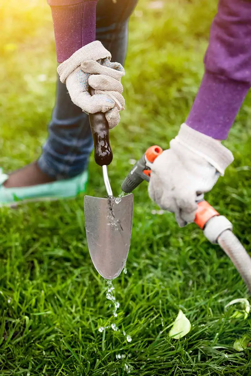 Una imagen vertical de primer plano de un jardinero con guantes y limpiando una paleta pequeña con una manguera.