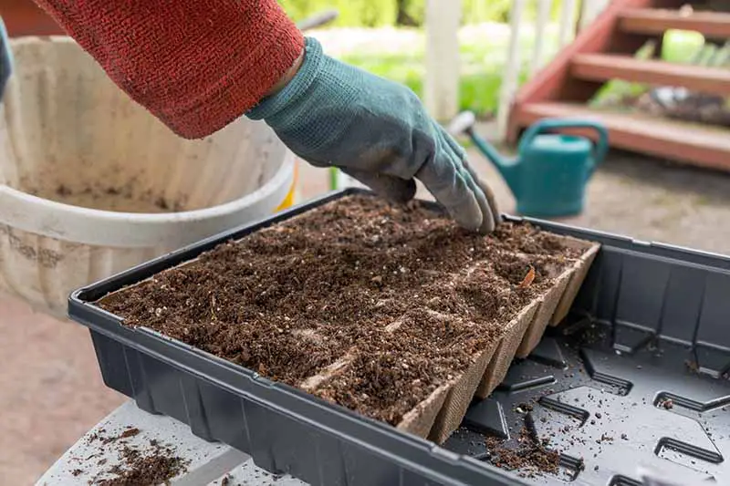 Una imagen horizontal de primer plano de un jardinero llenando macetas biodegradables con tierra para plantar semillas.