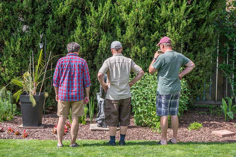 Una imagen horizontal de tres jardineros mirando un borde de flores para planificar plantaciones.