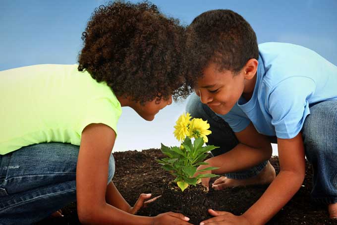 Un primer plano de dos niños examinando una pequeña flor amarilla que acaban de plantar en el jardín.