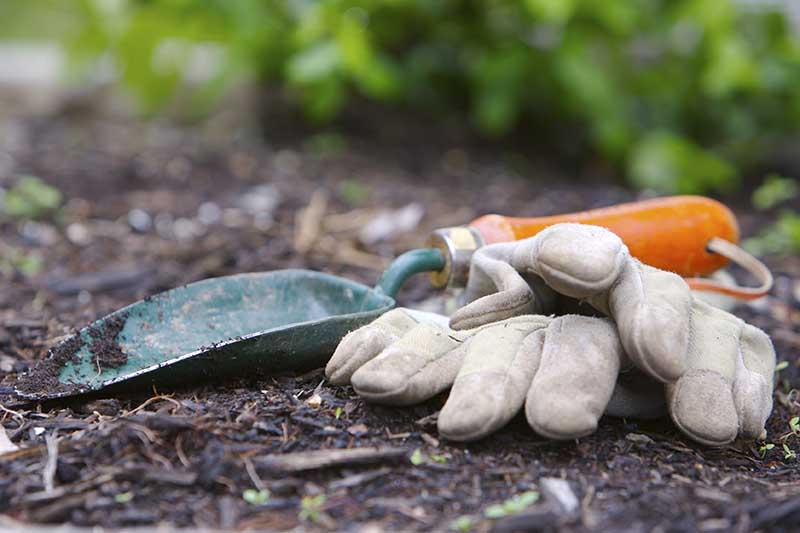 Un primer plano de guantes de jardinería de cuero y una paleta verde y naranja sobre una superficie de suelo sobre un fondo de enfoque suave.