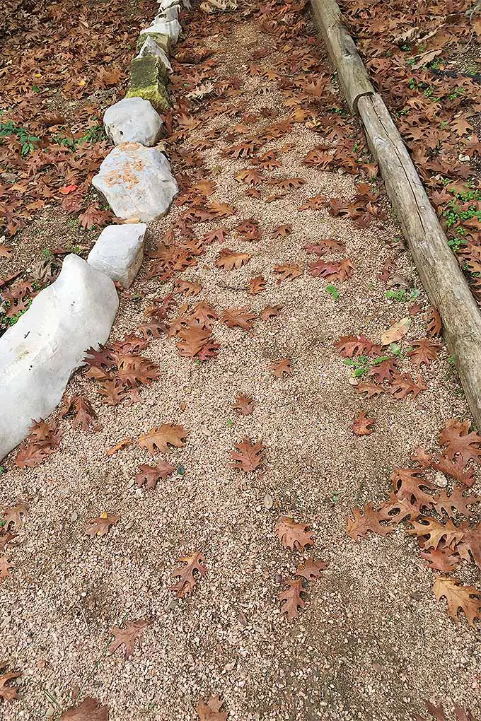 Una imagen de primer plano vertical de un camino de grava con borde de piedra en un lado y borde de madera en el otro, cubierto de hojas de otoño.