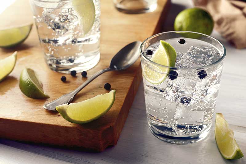 Una imagen horizontal de primer plano de dos vasos de gin tonic con bayas y segmentos de lima esparcidos por todas partes.
