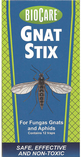 Una imagen vertical de cerca del empaque de las trampas para insectos BioCare Gnat Stix para plantas de interior.
