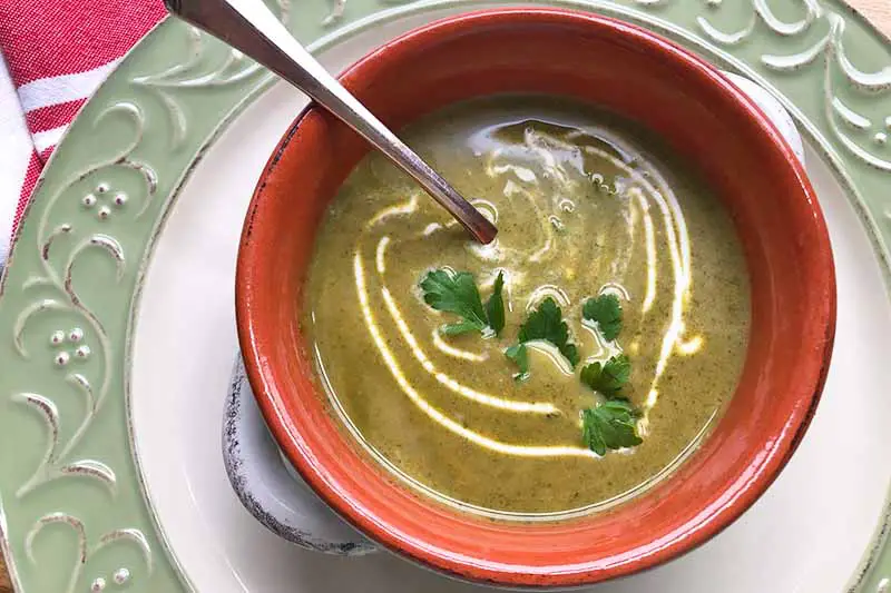 Una imagen horizontal de primer plano de un tazón de sopa curativa verde recién preparada con un remolino de crema y una guarnición de perejil en la parte superior.