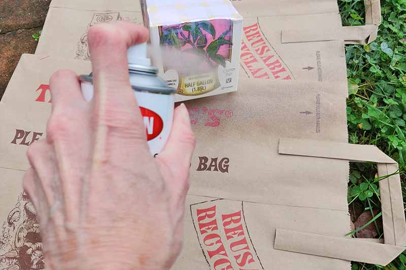 Una mano que sostiene una lata de pintura en aerosol rocía una caja de cartón encima de una superficie protegida con bolsas de papel marrón, encima de trébol verde y hierba.