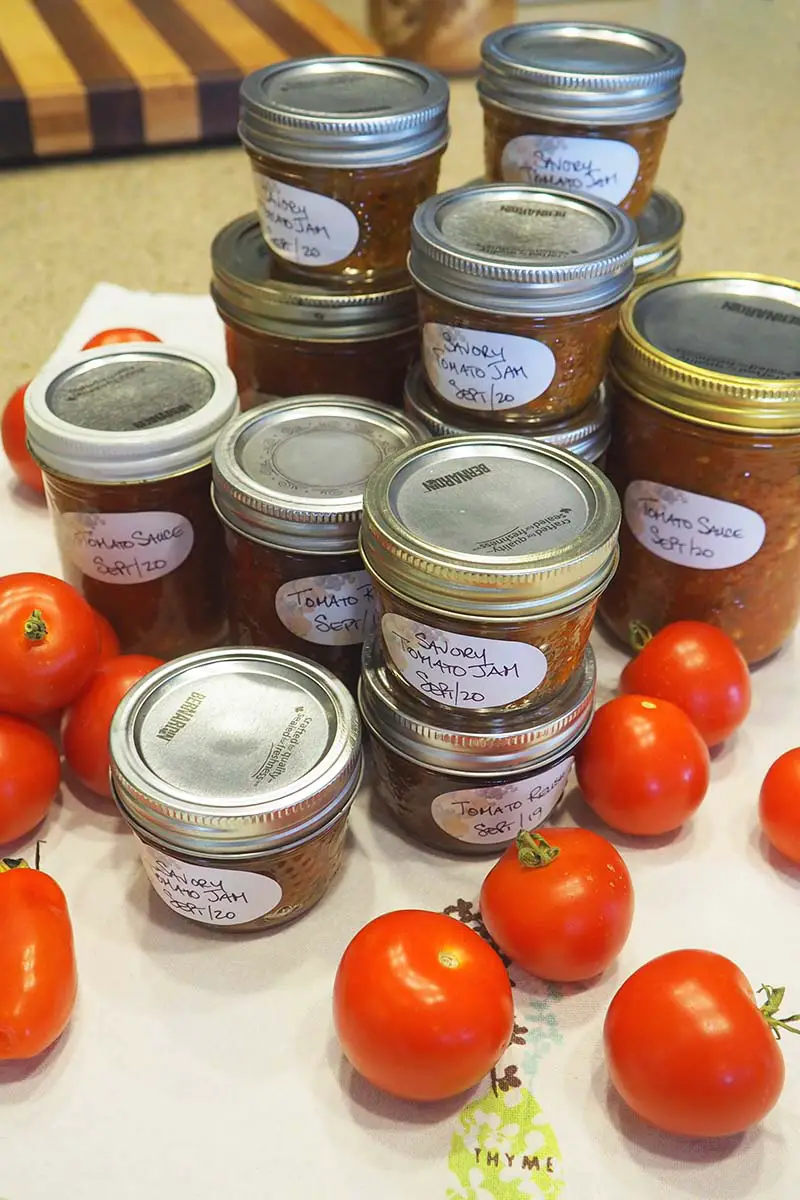 Una imagen vertical de cerca de una variedad de salsas enlatadas hechas de una cosecha de tomate fresco del jardín, con frutas maduras esparcidas.