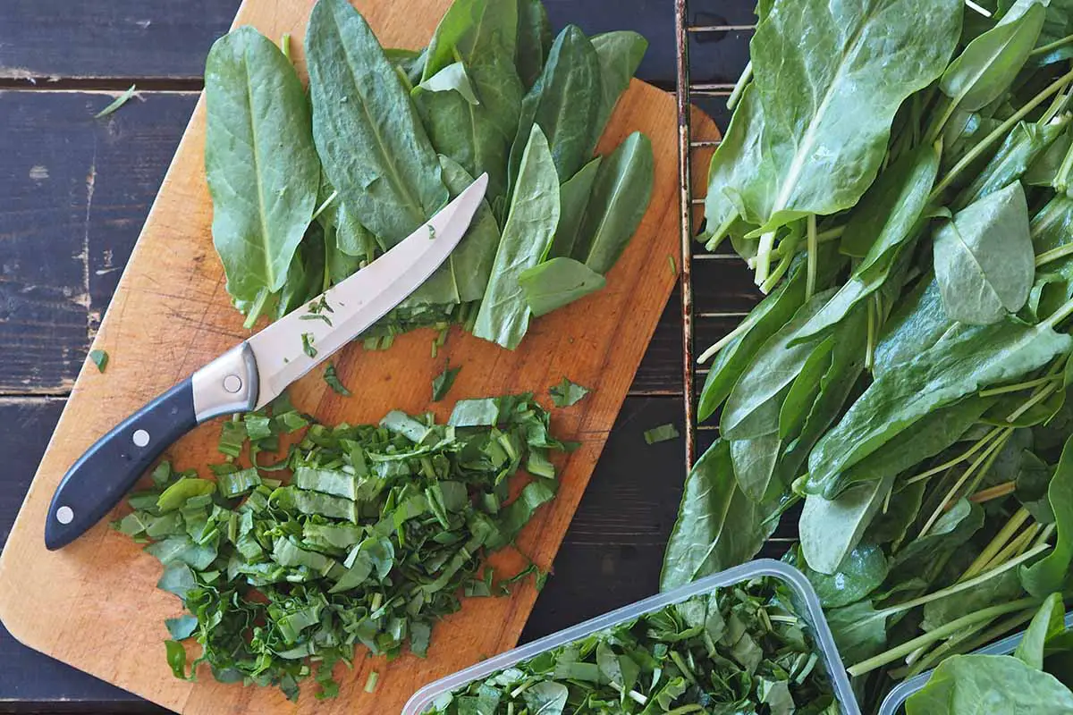 Una imagen de arriba hacia abajo de una tabla de cortar con hojas verdes picadas y enteras y un cuchillo.