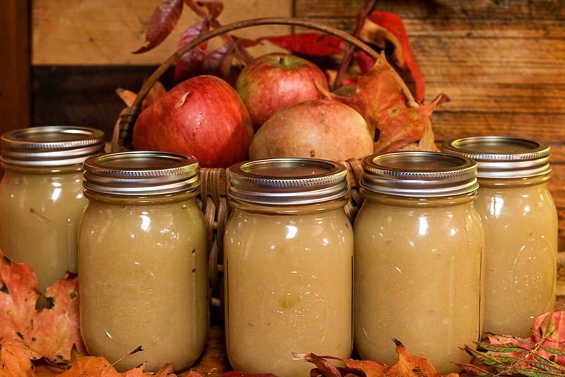 Una imagen horizontal de primer plano de tarros que contienen salsa de manzana recién hecha en casa con hojas de otoño esparcidas y una cesta de mimbre con fruta en el fondo.