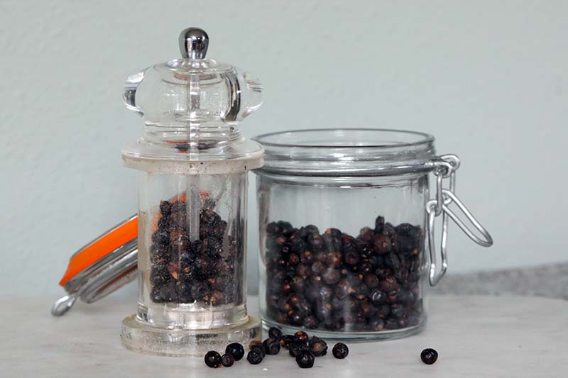 Una imagen horizontal de primer plano de un frasco y un molinillo de pimienta lleno de bayas sobre una superficie blanca.