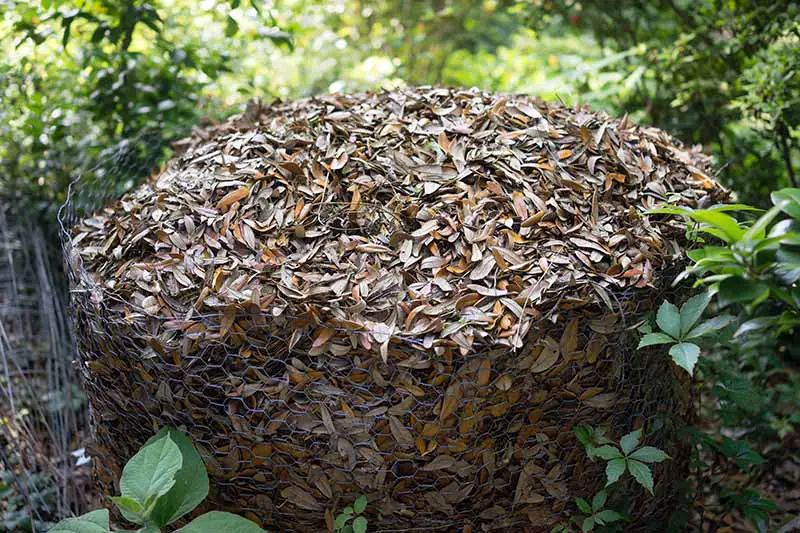 Una imagen horizontal de primer plano de un recinto de alambre lleno de hojas de otoño con follaje en un enfoque suave en el fondo.