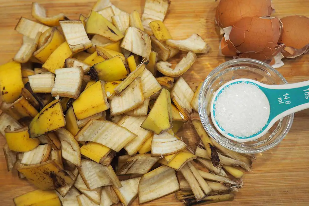 Una imagen horizontal de primer plano de un montón de pieles de plátano cortadas, cáscaras de huevo y una cuchara de sal sobre una superficie de madera.