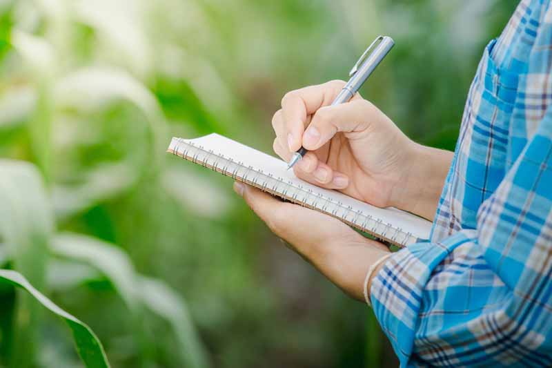 Una mujer está usando un diario para escribir notas como parte de un plan de jardinería.  Está parada afuera bajo el sol de la mañana y solo se ven su torso y sus brazos.