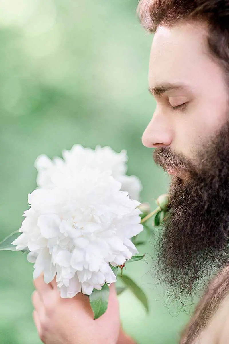 Un primer plano de un hombre con barba sosteniendo una flor blanca hasta la cara con los ojos cerrados, sobre un fondo verde de enfoque suave.