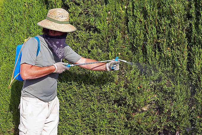 Asegúrese de tener cuidado y usar el equipo de protección adecuado cuando aplique productos químicos en el jardín.  |  