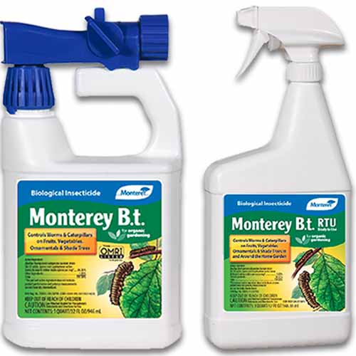 Una imagen cuadrada de primer plano de dos botellas de spray de insectos de jardín Monterey Bt aislado sobre un fondo blanco.