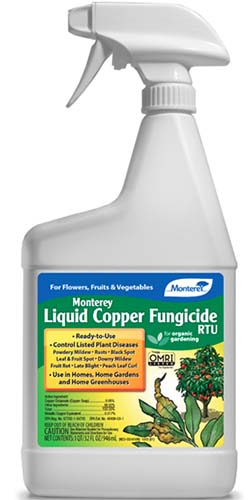 Un primer plano del envase de la botella de spray Monterey Liquid Copper Fungicida sobre un fondo blanco.