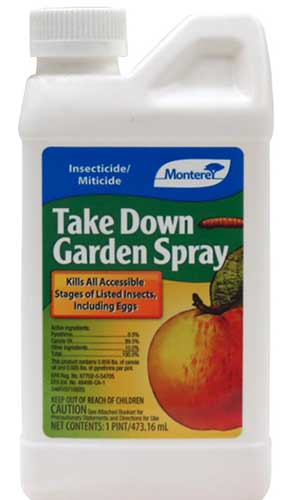 Un primer plano del empaque del aerosol Monterey Take Down Garden, un insecticida a base de piretrina.