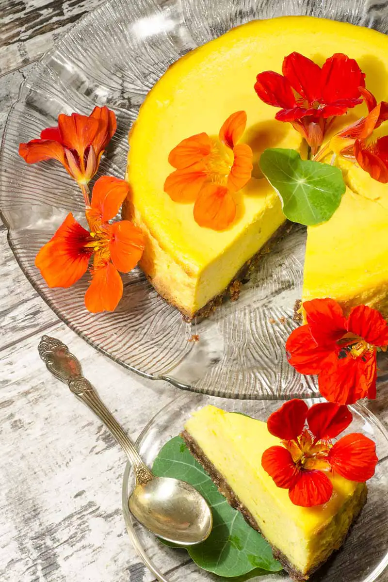 Una imagen vertical de una tarta de queso casera adornada con flores y hojas de Tropaeolum majus (capuchina).