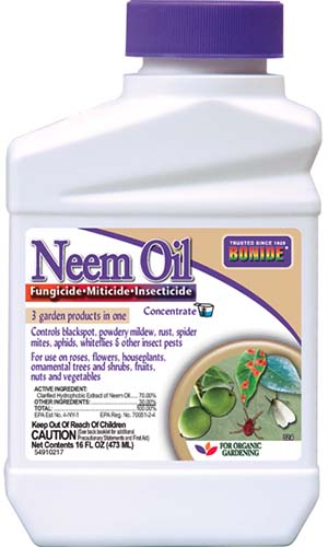 Una imagen vertical de primer plano del envase de Bonide Organic Neem Oil para uso en plantas sobre un fondo blanco.