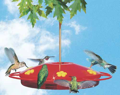 Comedero para colibríes Oasis